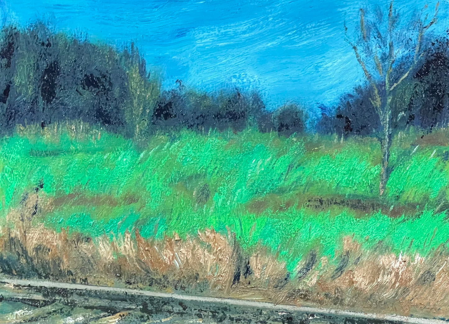 Andando pela linha do trem