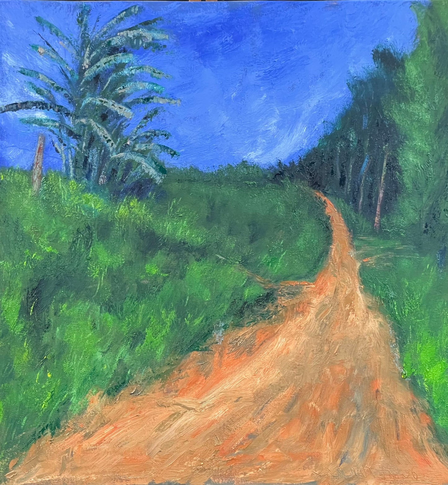 Estrada com bananeiras