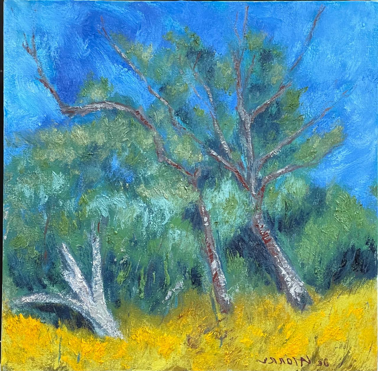 Arvores Agitadas na Primavera