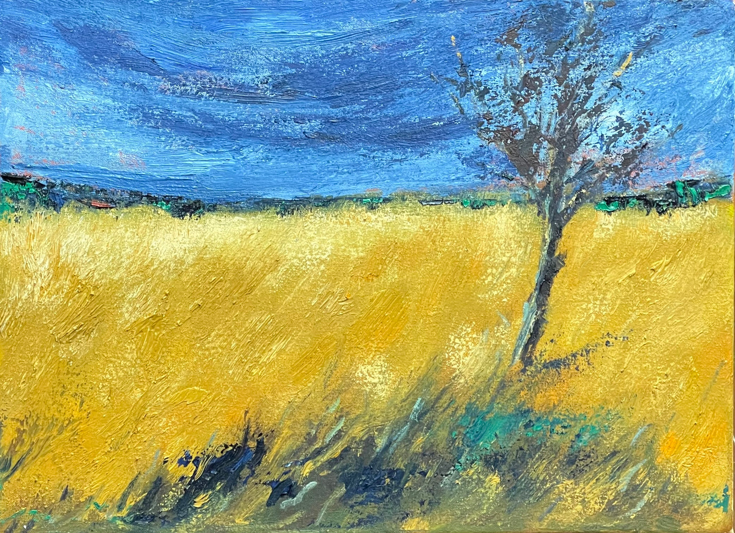 Campo denso sob sol pesado