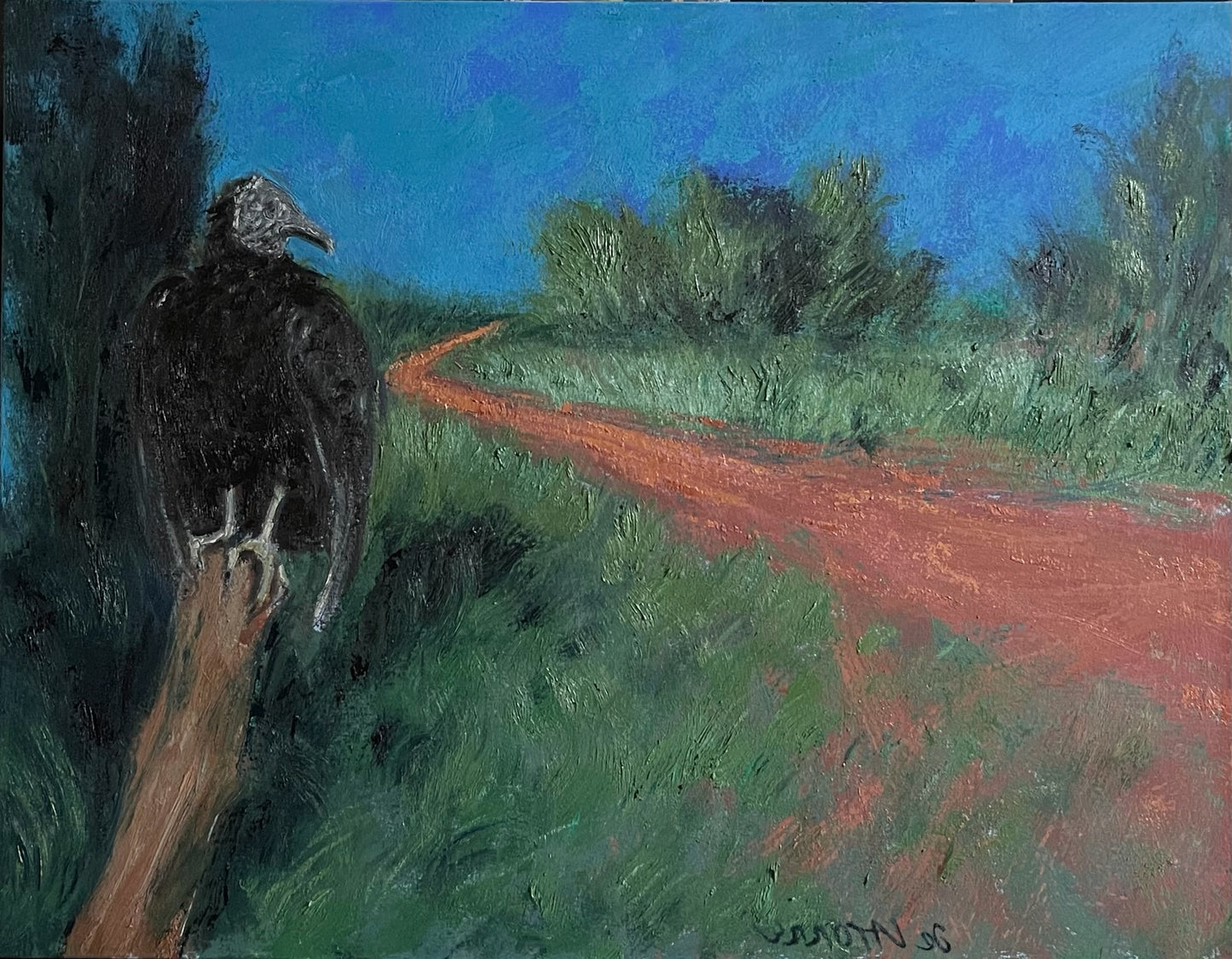 Estrada com Urubu