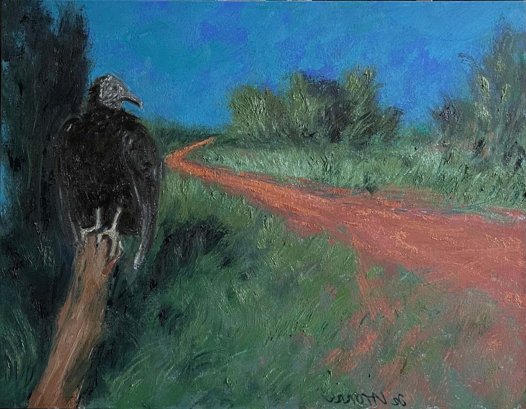 Estrada com Urubu