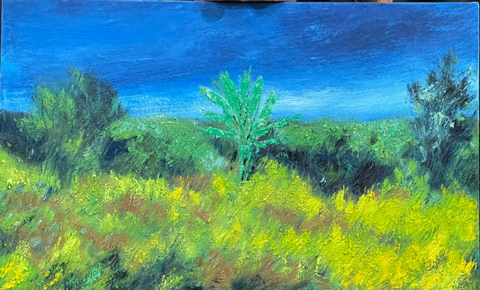 Paisagem chuvosa com bananeira