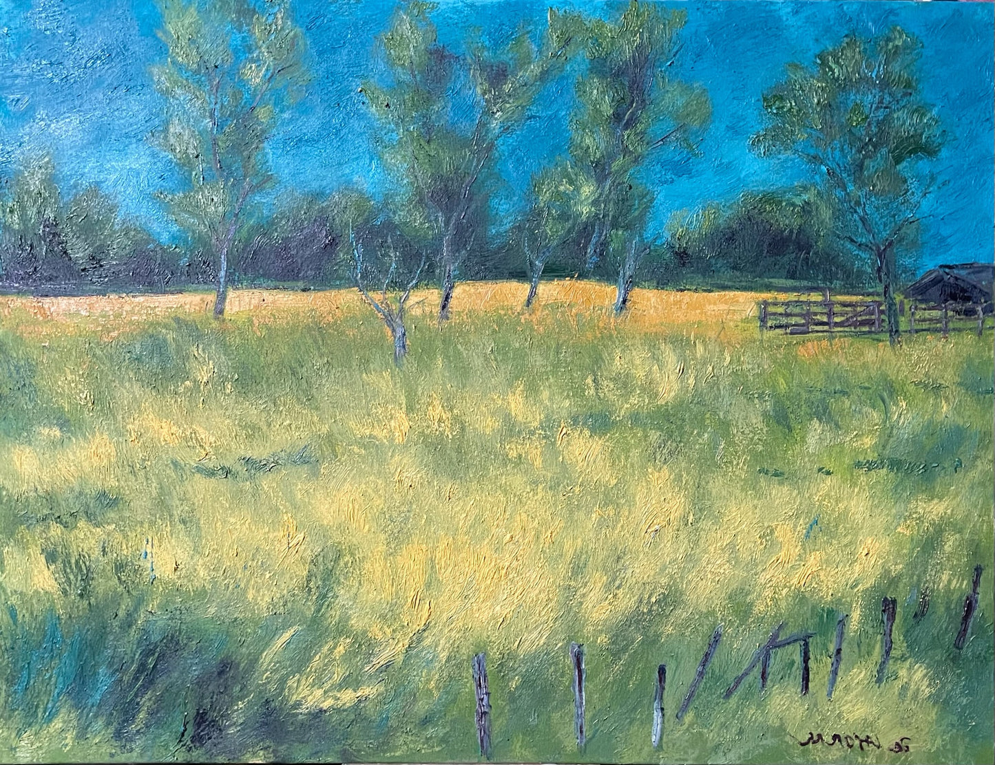 Paisagem com Mangueirão