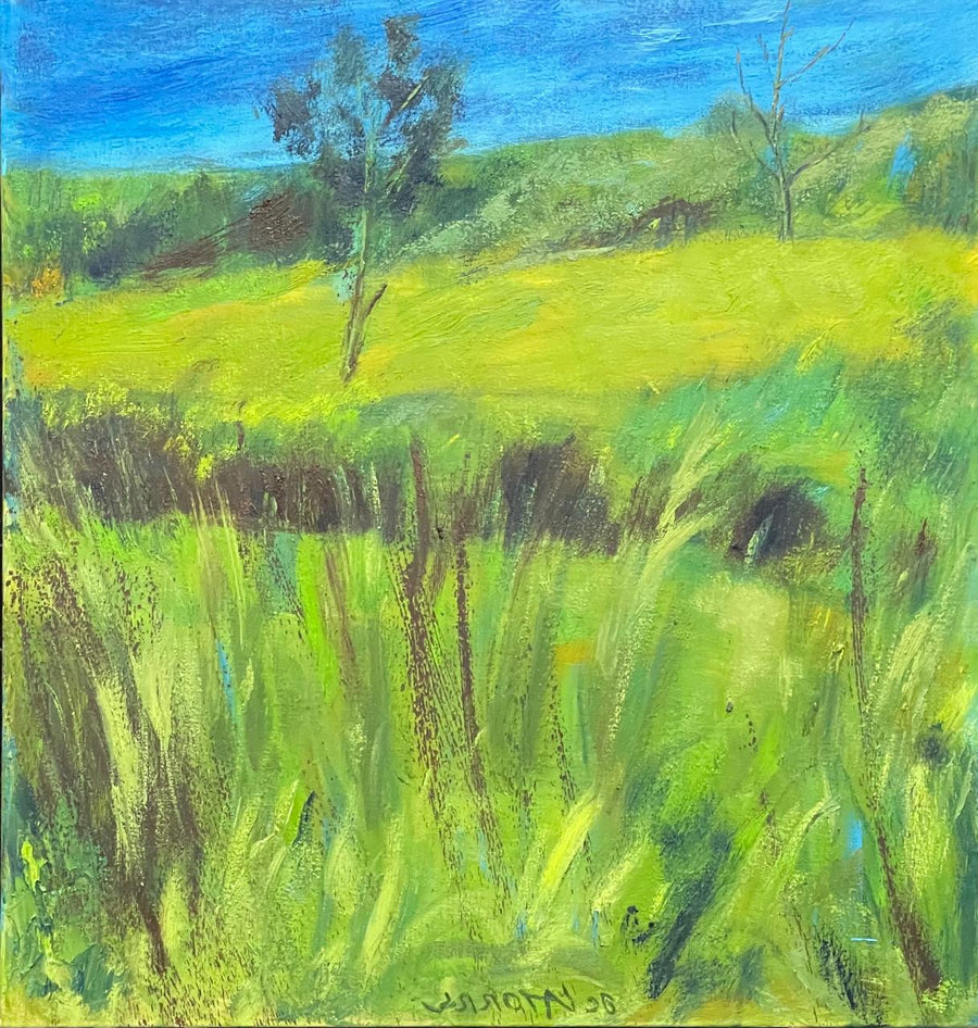 Paisagem com Taboa