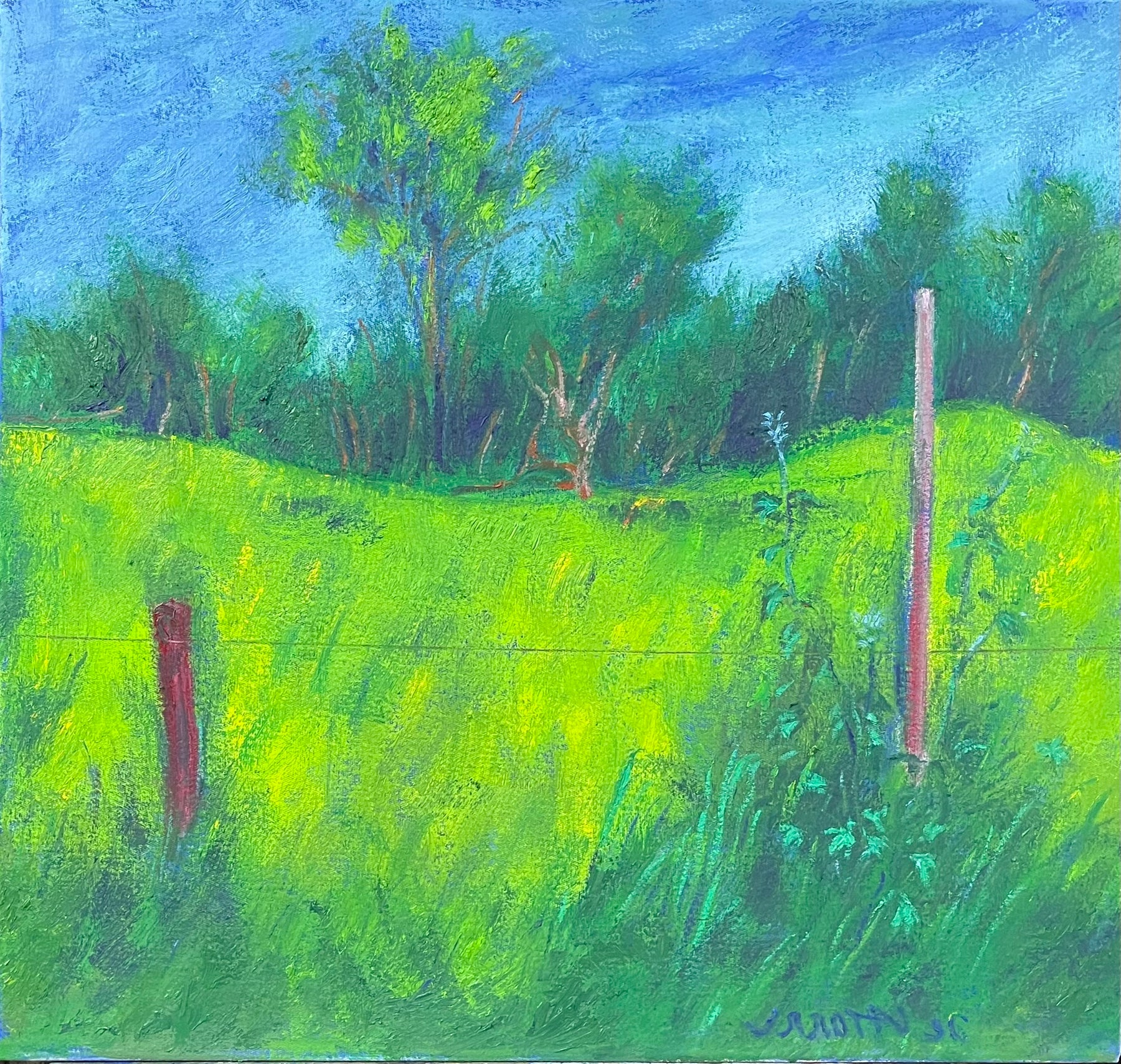 Paisagem com cerca