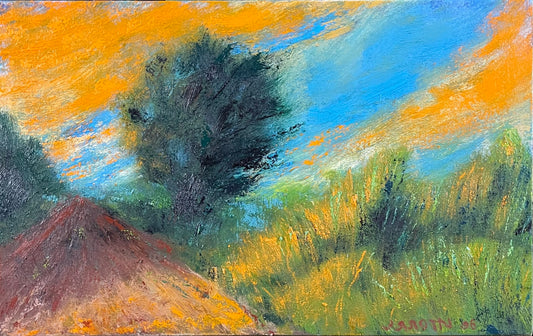 Paisagem com crepúsculo intenso